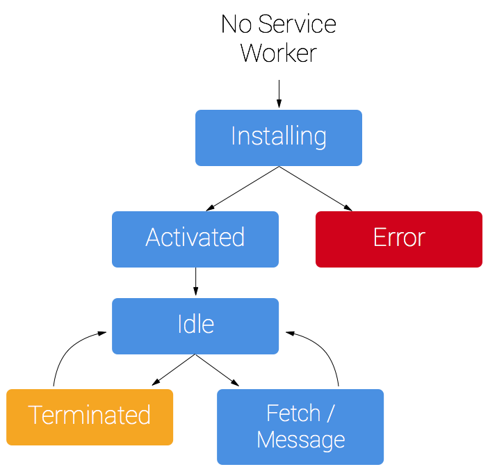 lifecycle